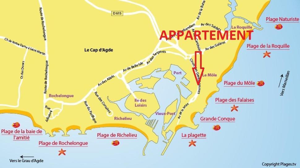 Ferienwohnung Cap D'Agde 300M Plage Du Mole,Vue Port,Parking,Lave Linge,Piscine Exterior foto
