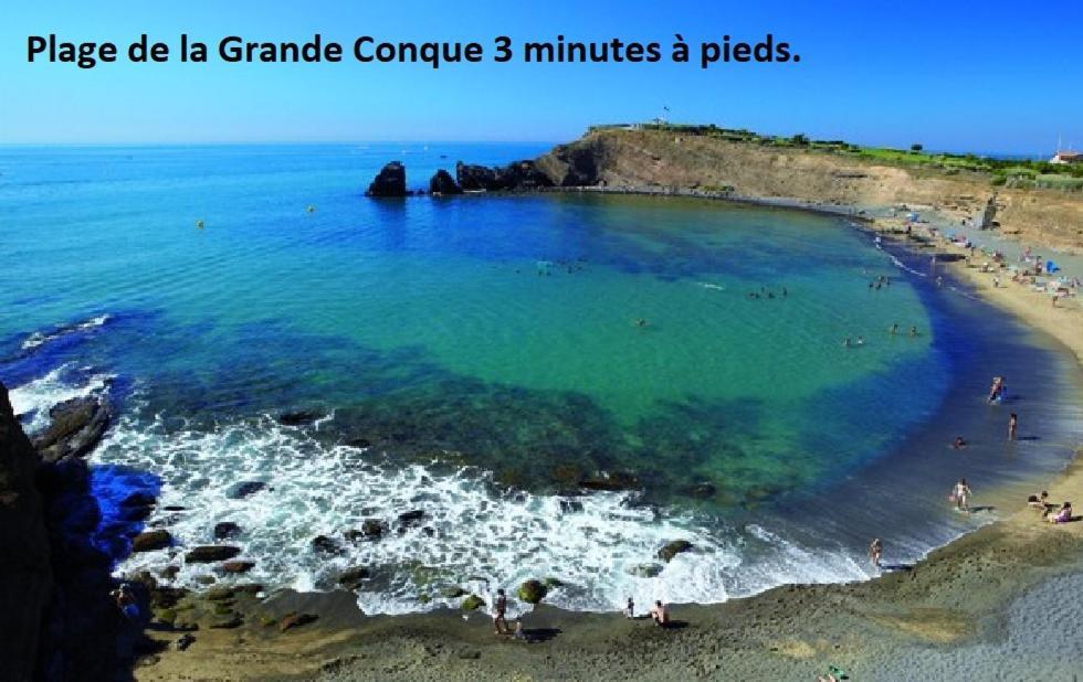 Ferienwohnung Cap D'Agde 300M Plage Du Mole,Vue Port,Parking,Lave Linge,Piscine Exterior foto